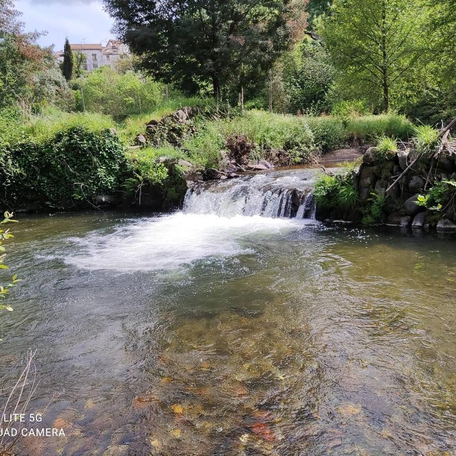 Pampihouse, Luxury Rustic House Near River Pampilhosa da Serra Exteriör bild