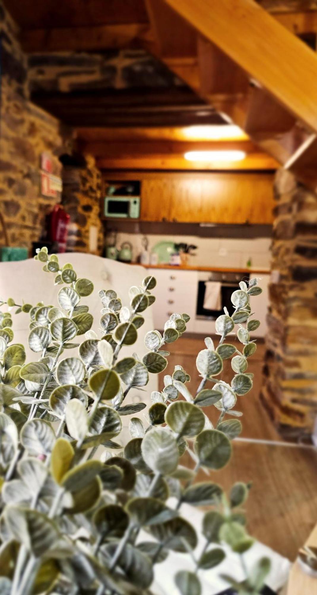 Pampihouse, Luxury Rustic House Near River Pampilhosa da Serra Exteriör bild